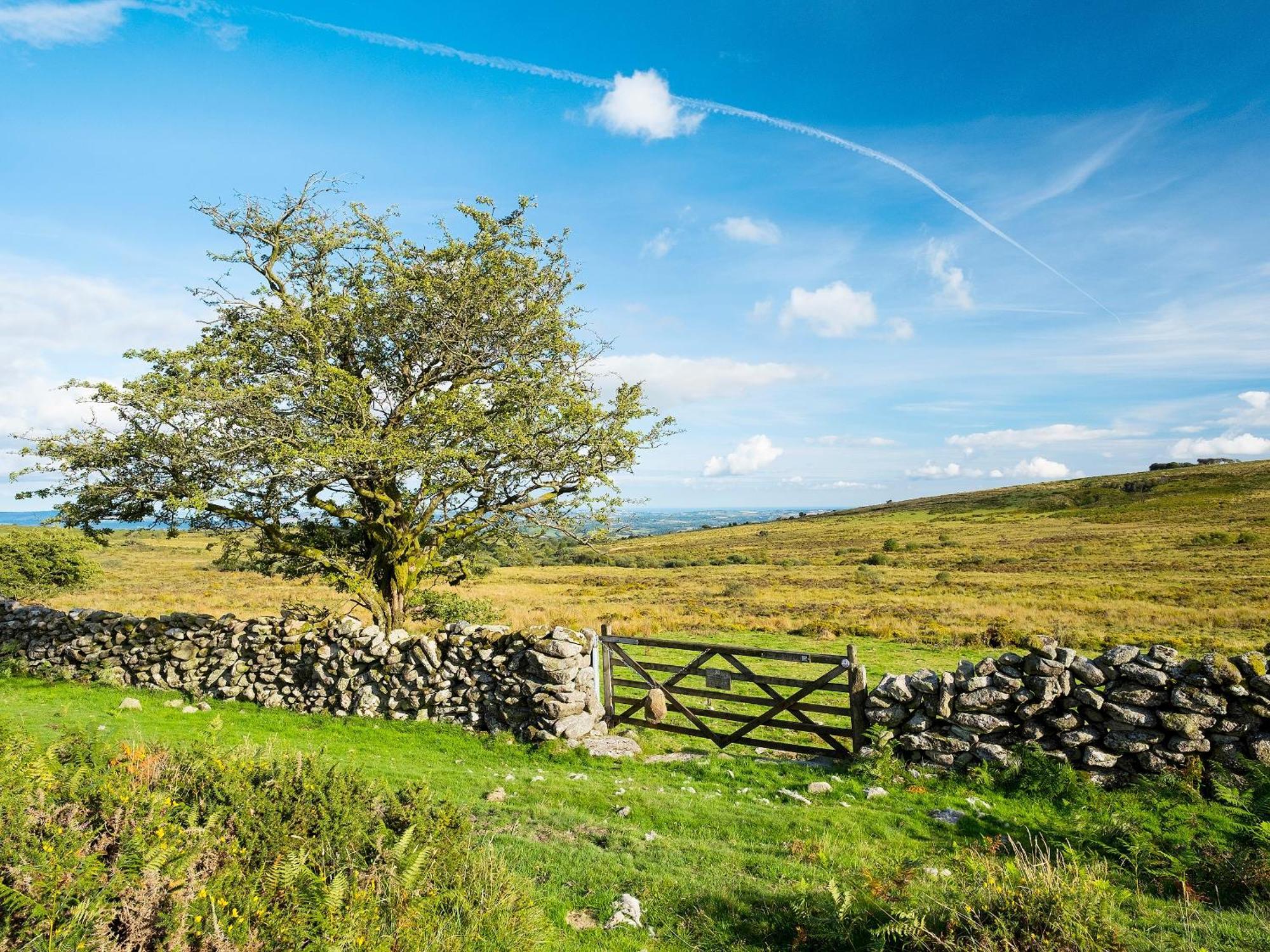 Chapel Cottage Lydford Luaran gambar